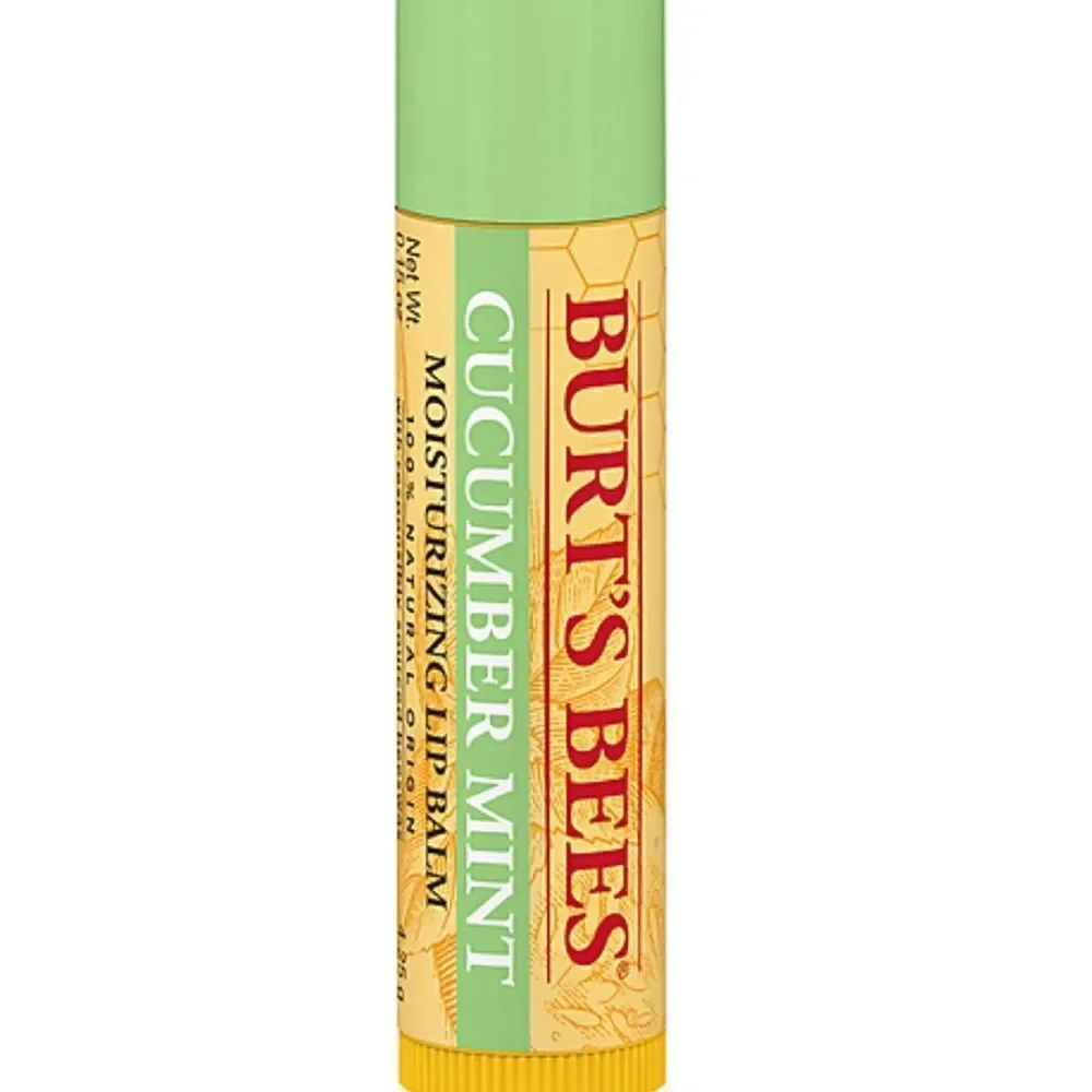 Burt's Bees 4 Pk cucumber mint moisturizing natural lip balm